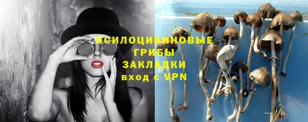 дмт Балахна