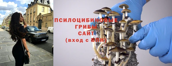 дмт Балахна