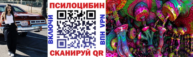 Галлюциногенные грибы мицелий  что такое   Ефремов 