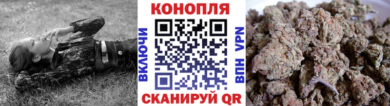 Бошки Шишки SATIVA & INDICA  где продают   Ефремов 